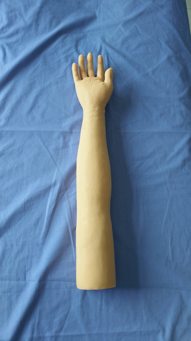 针灸训练手臂模型